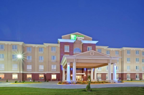 Holiday Inn Express Hotel & Suites Dumas by IHG
